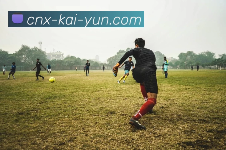 App Interface Preview